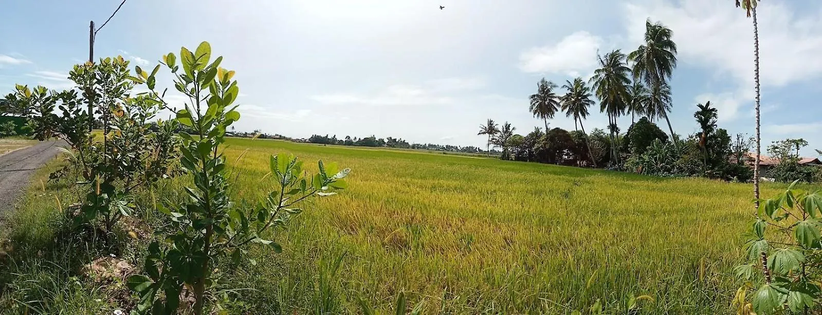 Homestay Kampong Kota Aur Resort With Swimming Pool, Kepala Batas, Seberang Perai, Penang
